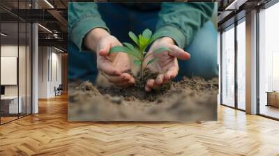 a person planting a plant in soil with the words  seedlings  on the bottom. Wall mural