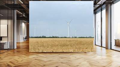 a wind farm in the wide spread field Wall mural