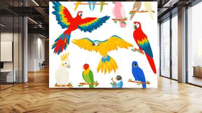 Parrot vector parrotry character and tropical bird or cartoon exotic macaw in tropics illustration set of colorful tropic birdie isolated on white background Wall mural