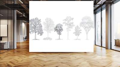 Minimal style cad tree line drawing, Side view, set of graphics trees elements outline symbol for architecture and landscape design drawing. Wall mural