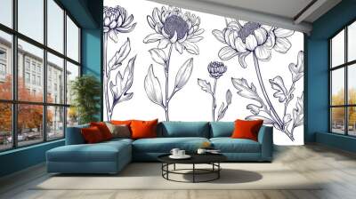 Set of hand drawn black outline flowers chrysanthemum on stem and leaves isolated on white Wall mural