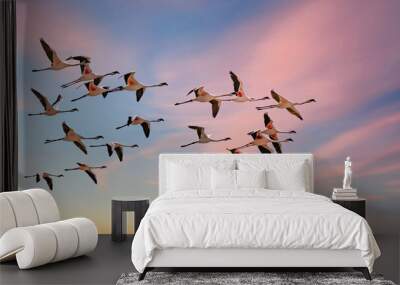 Flock of pink flamingos flying in Namibia, beautiful birds
 Wall mural