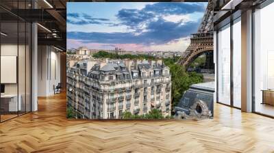 Paris, panorama of the city, with the Eiffel Tower and the Trocadero in background
 Wall mural