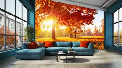 Autumn Landscape. Fall Scene. Trees and Leaves in Sunlight Rays Wall mural