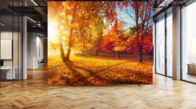 Autumn Landscape. Fall Scene.Trees and Leaves in Sunlight Rays Wall mural