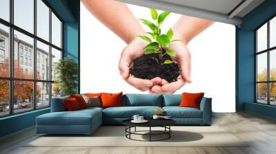 green plant in a child hands Wall mural