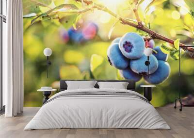 Juicy and Fresh Blueberries with Green Leaves Wall mural