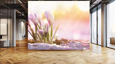 Spring Flowers in Sunlight Wall mural