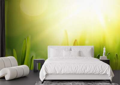 Spring Natural Background With Sun Wall mural