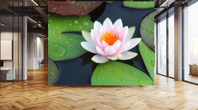 beautiful lotus flowers or waterlily in pond. Wall mural