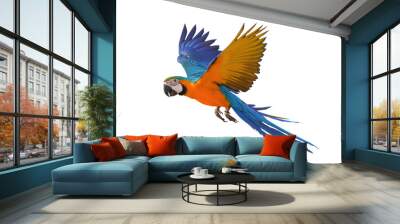 Colorful flying Blue and Gold Macaw parrot isolated on transparent background png file Wall mural