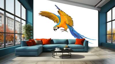 Colorful flying Blue and Gold Macaw parrot isolated on transparent background png file Wall mural