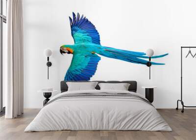 Colorful flying parrot isolated on transparent background png file	 Wall mural