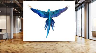 Colorful flying parrot isolated on transparent background png file Wall mural