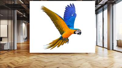 Colorful flying parrot isolated on transparent background. Wall mural