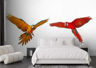 Colorful flying parrots isolated on white background Wall mural