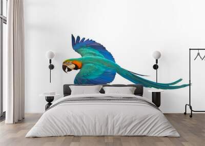 Colorful parrot flying isolated on transparent background png file. High quality instant download parrot png	 Wall mural