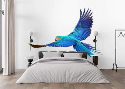 Gracefully flying parrot isolated on transparent background png file Wall mural