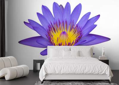 Purple Lotus flower isolated on transparent background png file Wall mural