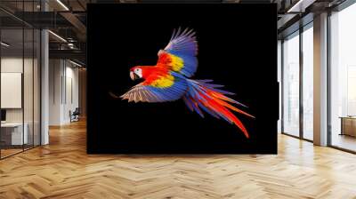 Scarlet macaw parrot flying isolated on black background. Wall mural