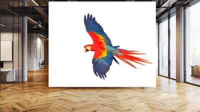 Scarlet macaw parrot flying isolated on transparent background png file Wall mural