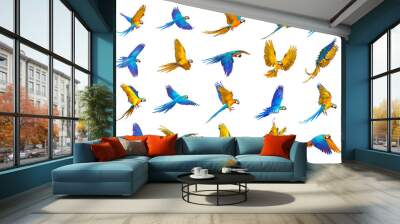 Set of Blue and gold macaw parrot isolated on white background. Wall mural