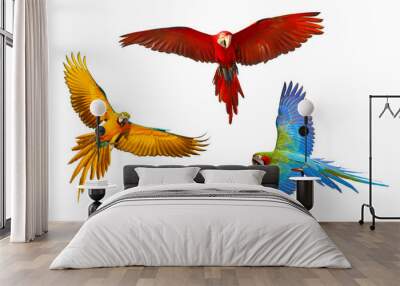 Set of macaw parrot isolated on white background Wall mural