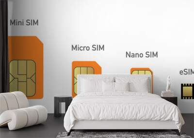 set sim card evolution to esim vector Wall mural