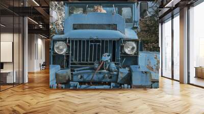 Un vieux chat qui a élu domicile auprès d'un vieux camion à l'abandon. Wall mural