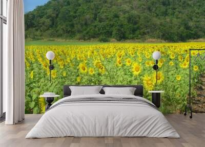 field of Sunflower Wall mural