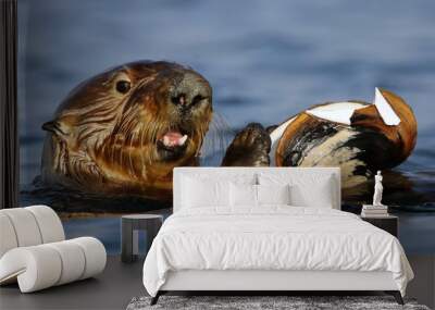 Sea Otter with Clam Wall mural