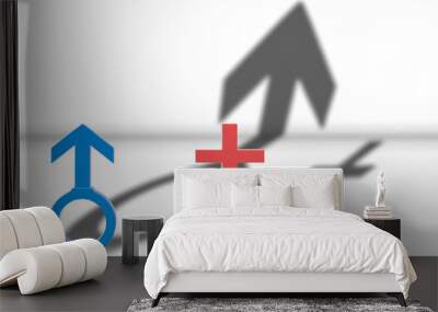 3d illustration. Male and female Gender sign with Male shadow is higher than female. Gender pay gap concept. Wall mural