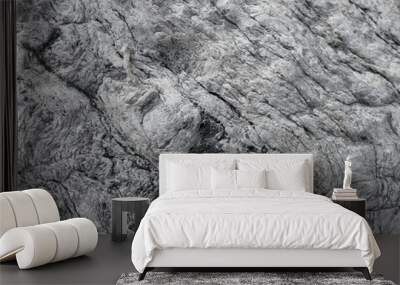 natural gray and black marble stone surface background. Wall mural