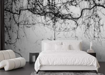 tree roots on the wall Wall mural