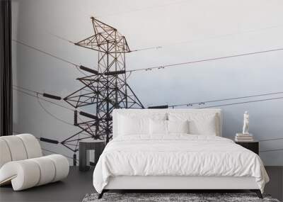 high voltage tower Wall mural