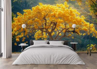 Elegant scene of a golden shower tree (Ratchaphruek) in full bloom, with cascading yellow flowers, Thailand's national tree, representing unity and prosperity Wall mural