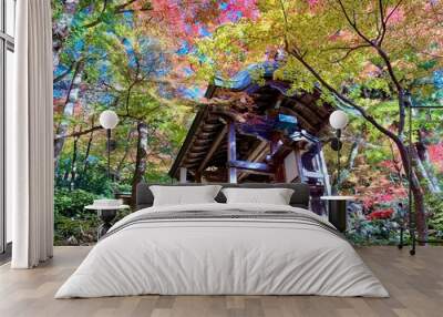 Japanese style entrance door made of wood In the forest, the Japanese maple trees change color Wall mural