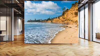 Evening mood at the beach in San Diego. Coast of California. Wall mural