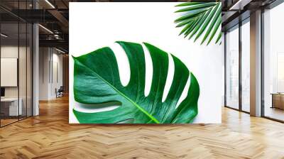 Beautiful Tropical Monstera leaf isolated on white background with clipping path for design elements, Flat lay Wall mural