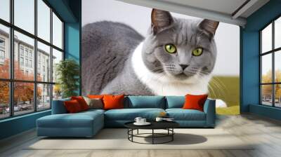 portrait of a cat Wall mural