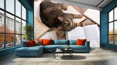 Little cat read a book Wall mural