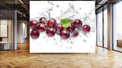 dark red grapes with splashing water isolated on white or transparent png Wall mural