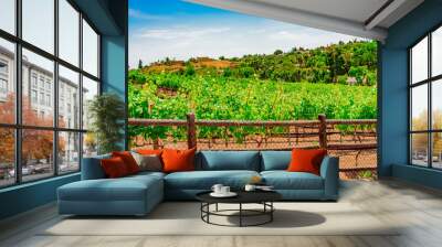 San Diego County's vineyards are lush with spring growth surrounded by hillsides Wall mural