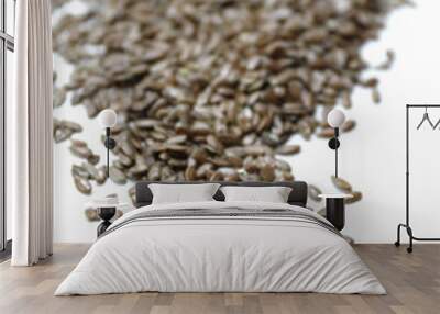 linen seeds on white background semillas de lino e fondo blanco Wall mural