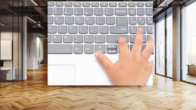 Latino baby hand using a computer. Brown fingers typing a laptop. Laptop keyboard being used by little hispanic hand. Vertical imagen Wall mural