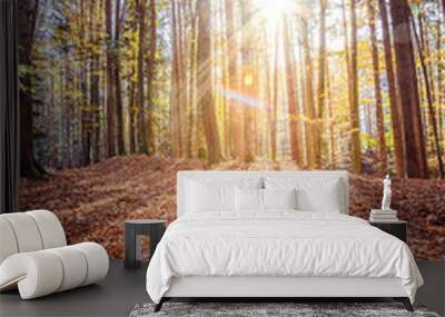 forest landscape in autumn: colorful leaves and positive atmosphere Wall mural