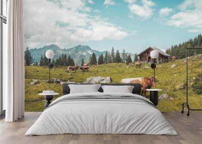 Idyllic mountain landscape in the alps: Mountain chalet, cows, meadows and blue sky Wall mural