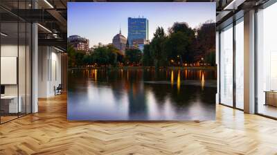 The pond at the Boston public garden Wall mural