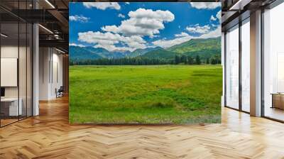 Alpine Meadow With Mountains Wall mural