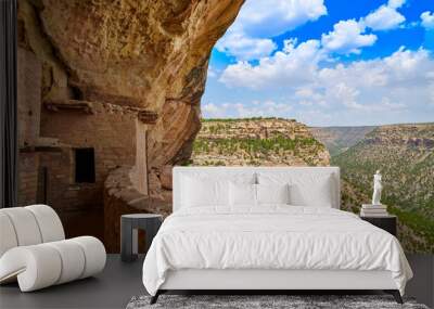 Canyon Veiw from Balcony House at Mesa Verda Natioanl Park Wall mural